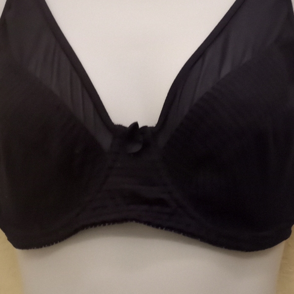 Curve Muse Satin & Mesh Striped Bra - Picture 3 of 16